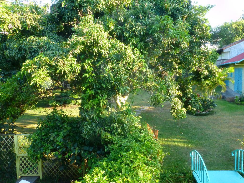 Casa De Las Tias San José Esterno foto